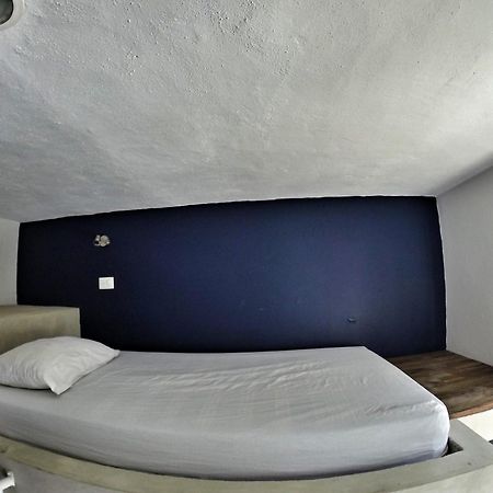 بلايا ديل كارمن Lobo De Mar Hostel المظهر الخارجي الصورة