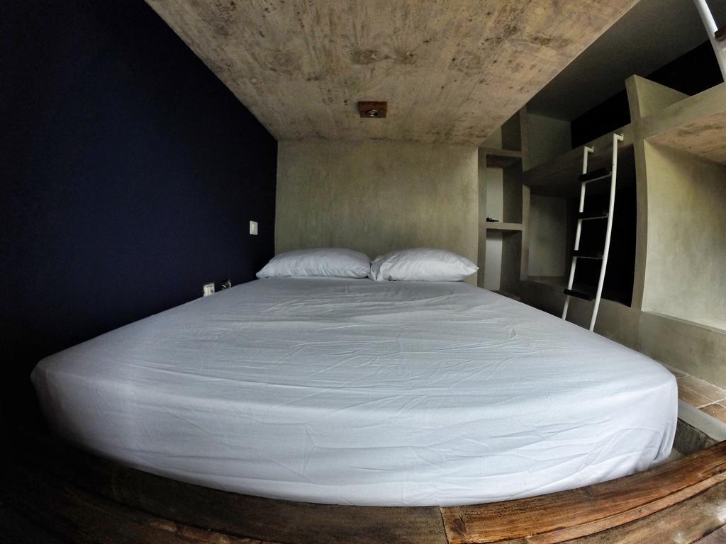 بلايا ديل كارمن Lobo De Mar Hostel الغرفة الصورة