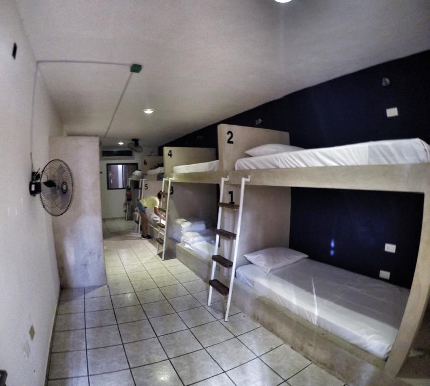 بلايا ديل كارمن Lobo De Mar Hostel المظهر الخارجي الصورة