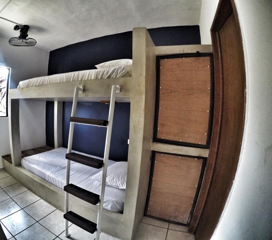 بلايا ديل كارمن Lobo De Mar Hostel المظهر الخارجي الصورة