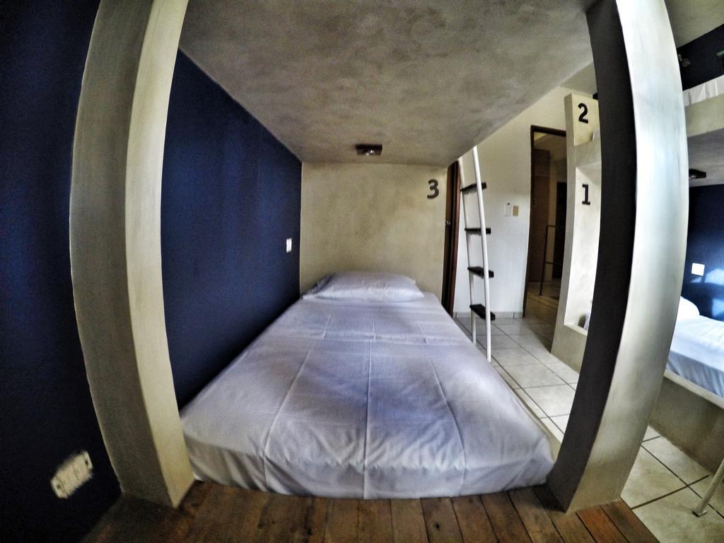بلايا ديل كارمن Lobo De Mar Hostel المظهر الخارجي الصورة