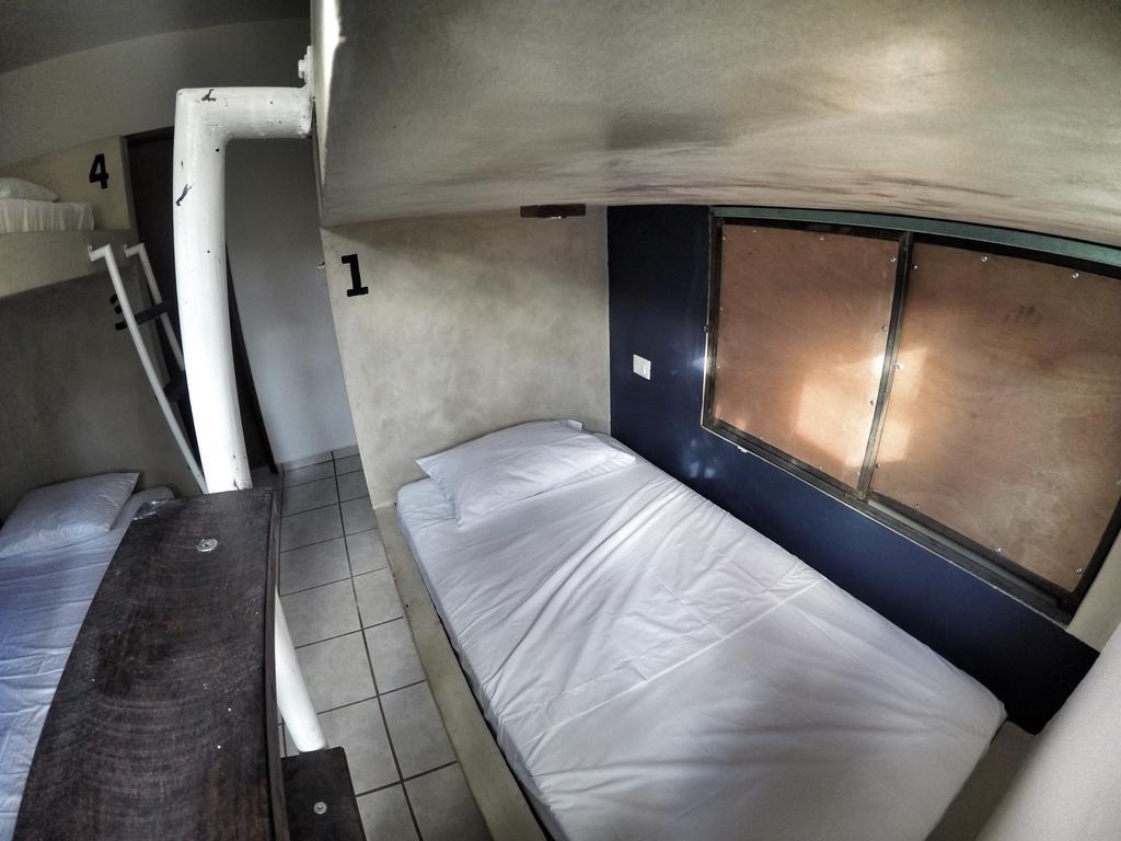 بلايا ديل كارمن Lobo De Mar Hostel المظهر الخارجي الصورة