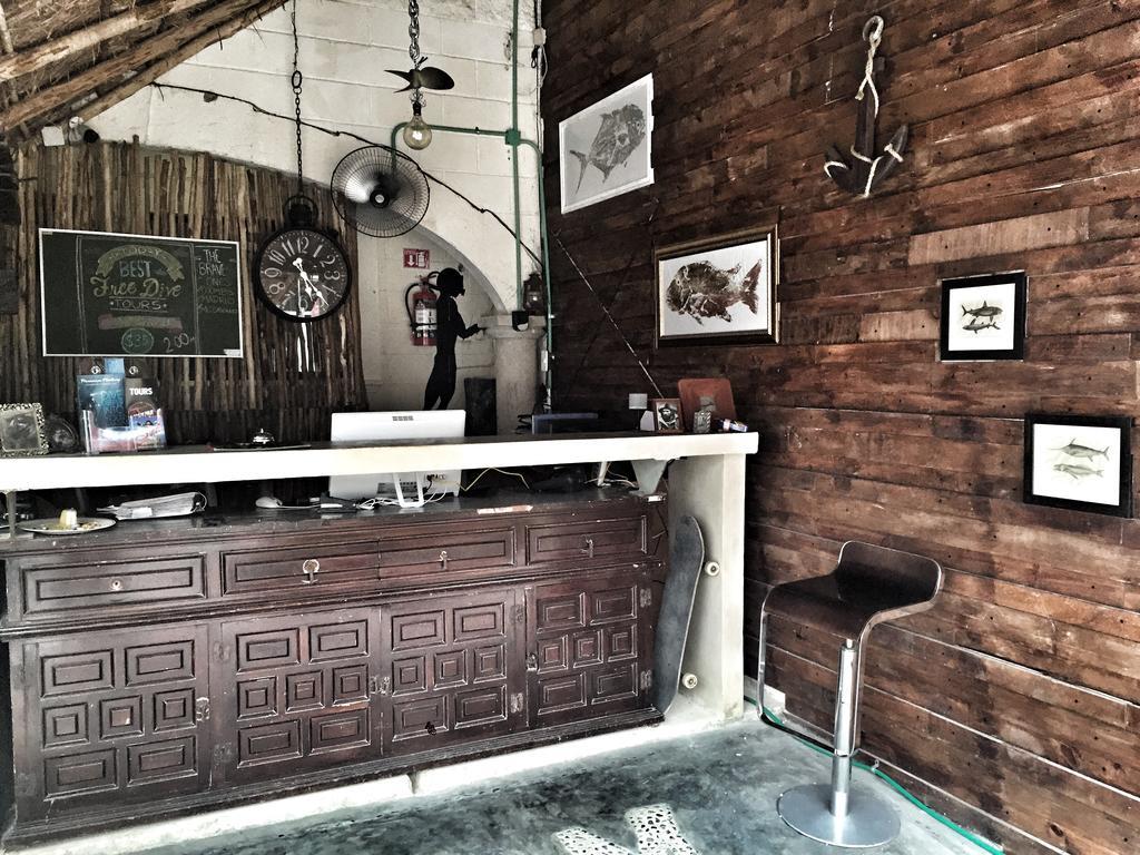 بلايا ديل كارمن Lobo De Mar Hostel المظهر الخارجي الصورة