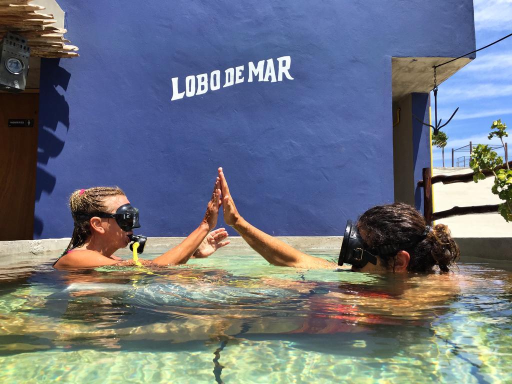 بلايا ديل كارمن Lobo De Mar Hostel المظهر الخارجي الصورة
