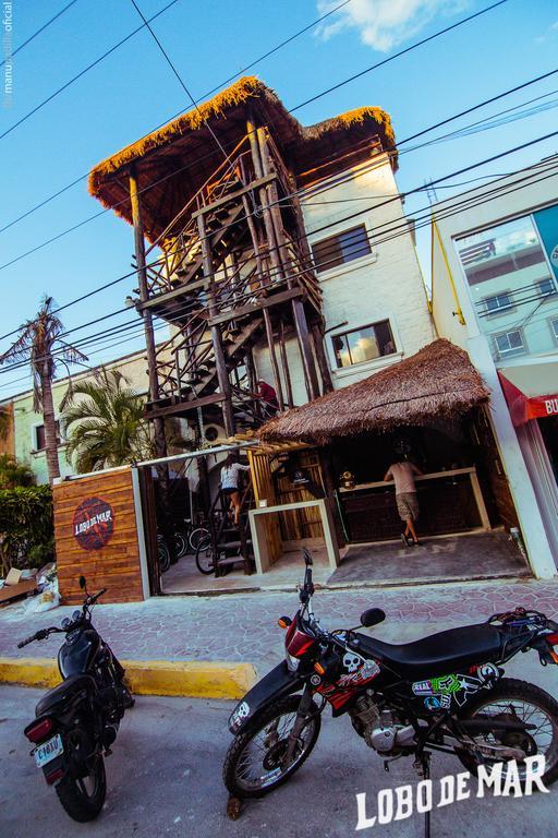 بلايا ديل كارمن Lobo De Mar Hostel المظهر الخارجي الصورة