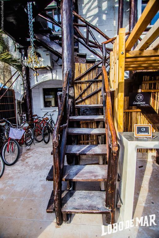 بلايا ديل كارمن Lobo De Mar Hostel المظهر الخارجي الصورة