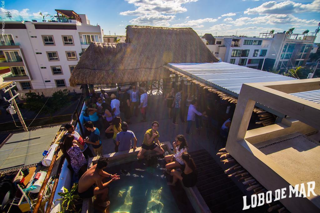 بلايا ديل كارمن Lobo De Mar Hostel المظهر الخارجي الصورة
