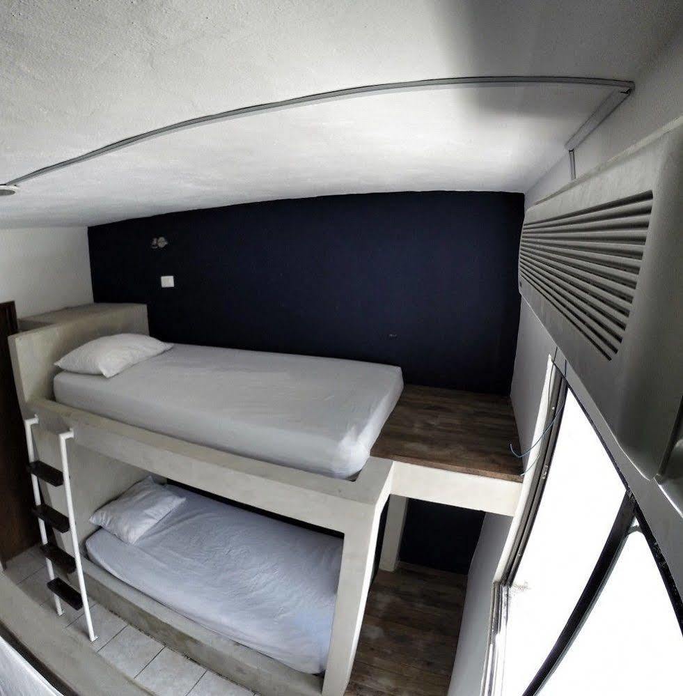 بلايا ديل كارمن Lobo De Mar Hostel المظهر الخارجي الصورة