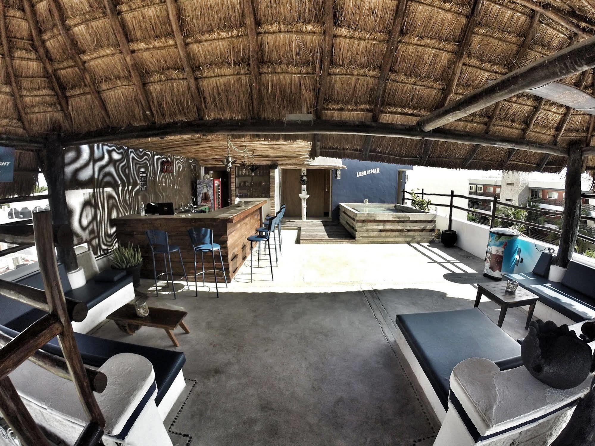 بلايا ديل كارمن Lobo De Mar Hostel المظهر الخارجي الصورة