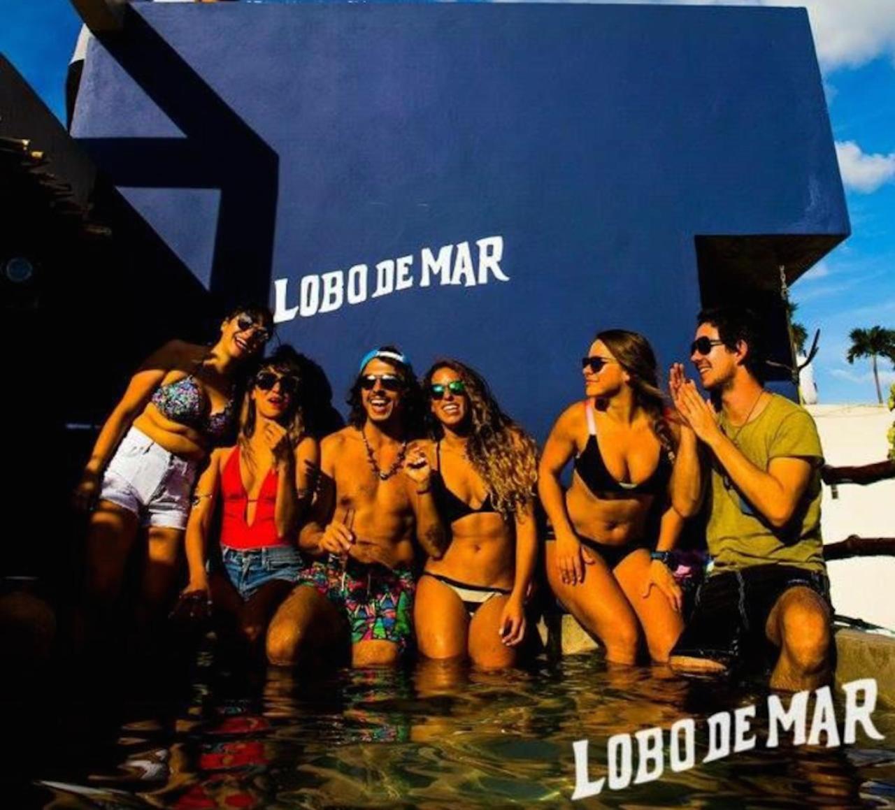 بلايا ديل كارمن Lobo De Mar Hostel المظهر الخارجي الصورة